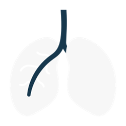 Pneumologie