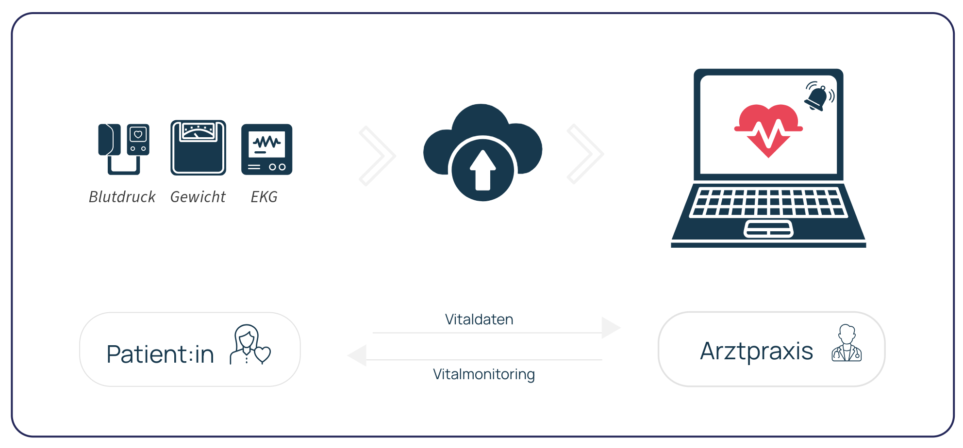 Infografik Telemonitoring