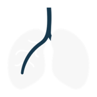 Pneumologie